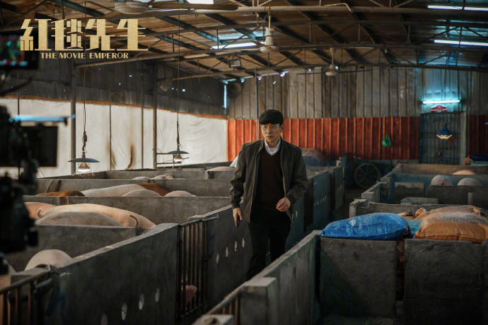 刘德华宁浩《红毯先生》成釜山电影节闭幕影片(图5)