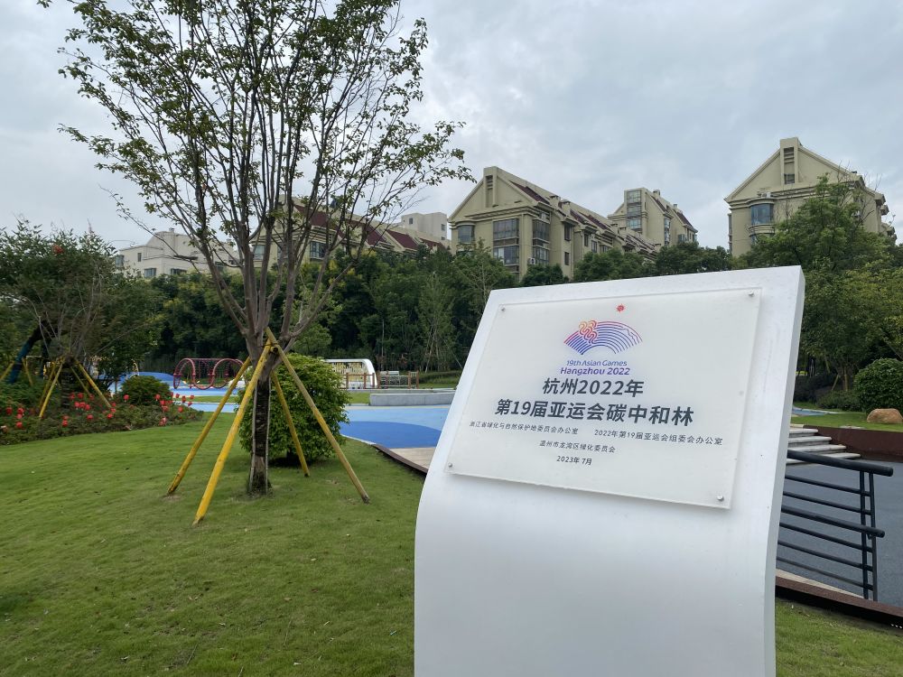 亚运会前看浙江丨温州：千年商港蓄势待发迎亚运(图3)