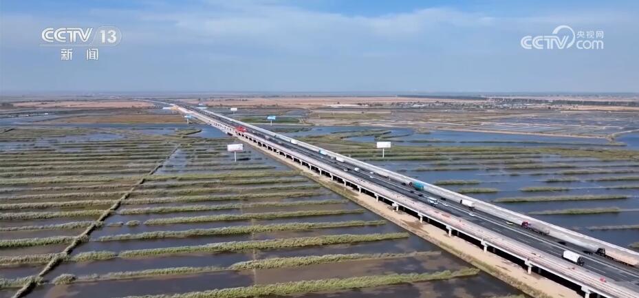 多项数据看中国经济活力 各地秋粮收获丰产在“握”(图5)
