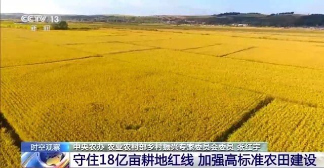 粮食产量有望再创新高 为何说来之不易？(图6)