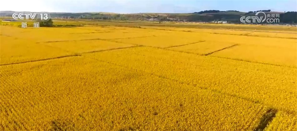 “多点发力”推动“全面开花” 中国经济硕果累累、行稳致远(图15)