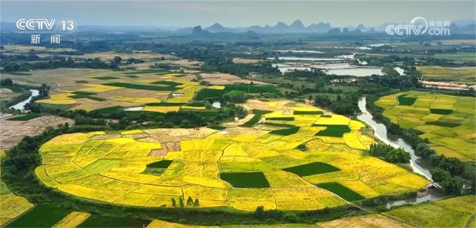 “多点发力”推动“全面开花” 中国经济硕果累累、行稳致远(图16)