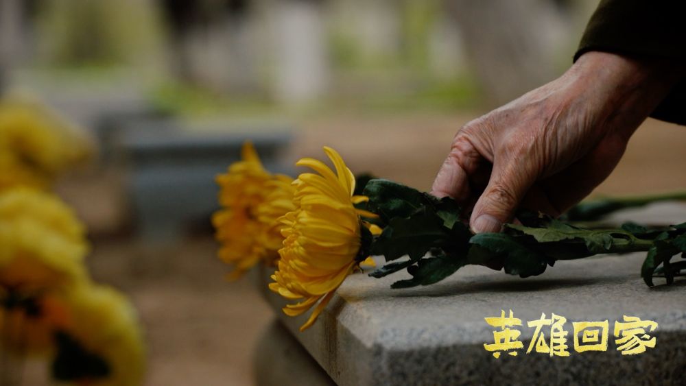 英雄回家(图3)