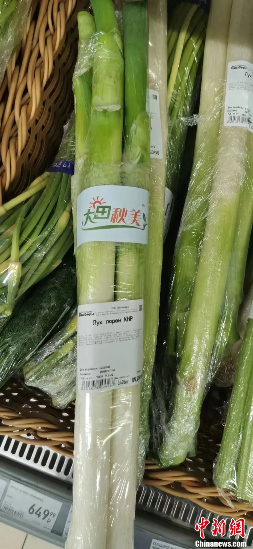 比姚明高一头！这里的大葱靠什么猛“长个”？(图3)