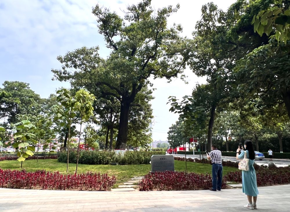 特写：精神的力量(图4)