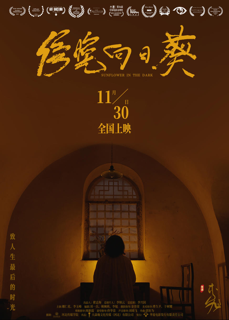 《傍晚向日葵》：一部具有浓重艺术探索气质的电影(图3)