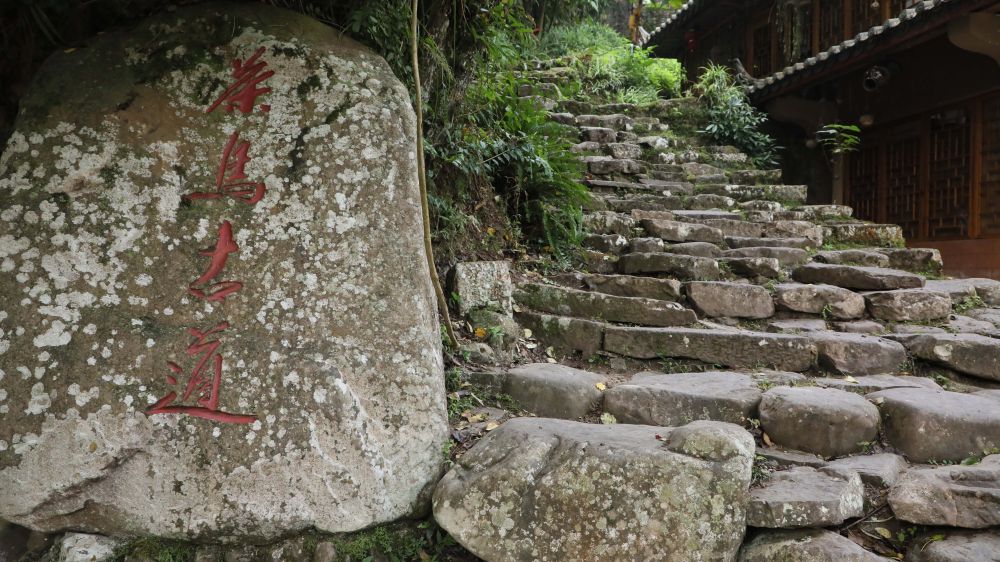 飞阅中国｜瞰茶马古道 品千年茶香(图8)