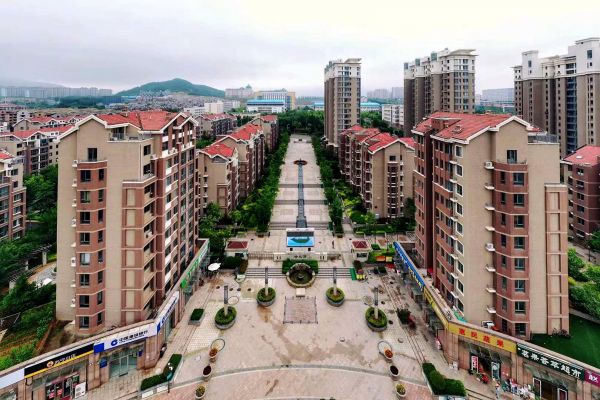 【大国新村：沿着总书记的足迹】山东青岛：山海之间的乡村振兴路(图6)