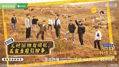 显见“爆款” 老牌综艺仍是“压舱石”(图2)