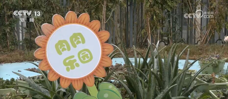 用心办教育 写好“民生答卷” 托起百姓“稳稳的幸福”(图3)