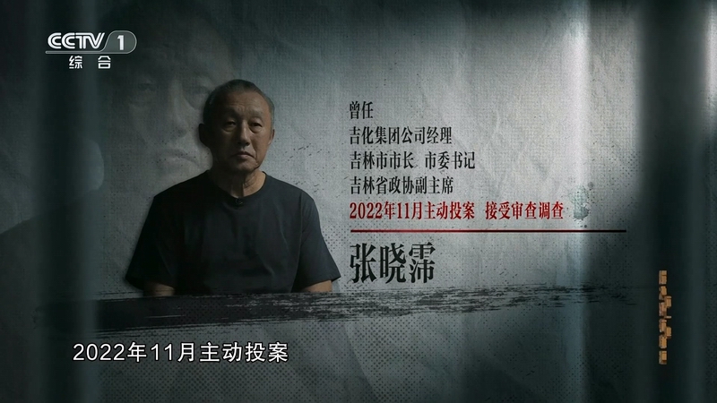 电视专题片《持续发力 纵深推进》第一集《解决独有难题》(图10)