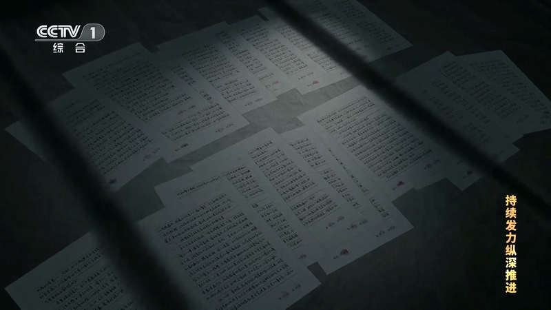 电视专题片《持续发力 纵深推进》第一集《解决独有难题》(图9)