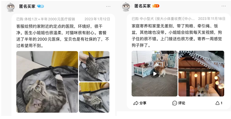 手串、汉服、乐器陪练，新晋淘宝年货新三样(图5)