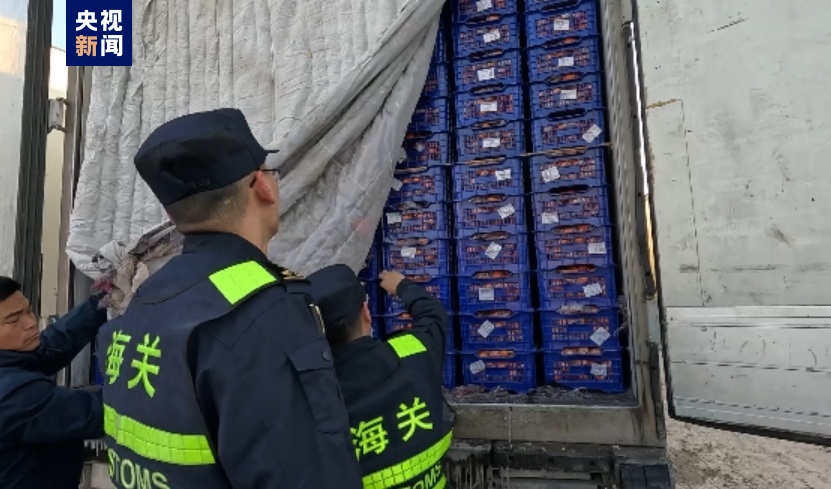 “中国味道”出口热！新疆霍尔果斯口岸果蔬出口迎今年首个高峰(图3)