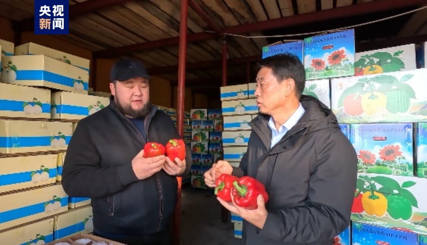 “中国味道”出口热！新疆霍尔果斯口岸果蔬出口迎今年首个高峰(图2)