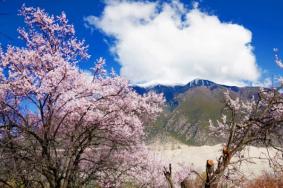 3月适合去哪里旅游