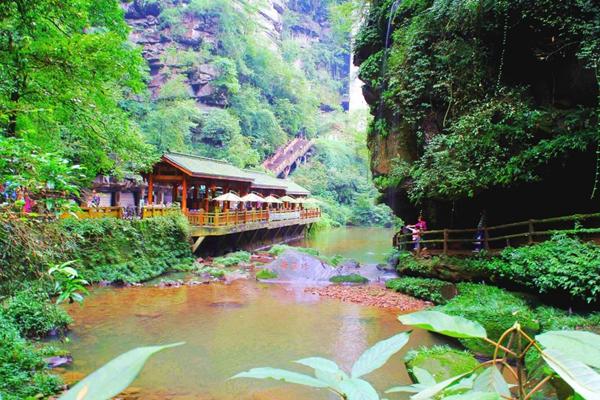 雅安碧峰峡一日游攻略