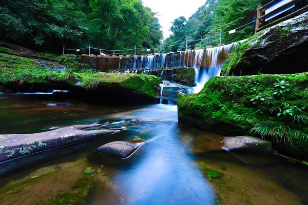 雅安碧峰峡自驾游攻略 一日游