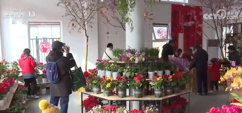 春节假期各地掀起文旅游热潮 “免签朋友圈”扩容带火出境游(图5)