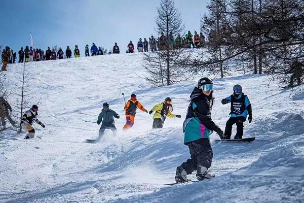 将军山、可可托海、吉克普林滑雪场对阿勒泰地区居民实施免费滑雪政策活动详情