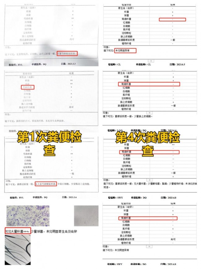 好主人100天喂养计划成功收官 分阶主粮引领精细化养宠趋势(图7)