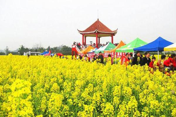 2024重庆潼南油菜花节门票+时间+地点+攻略