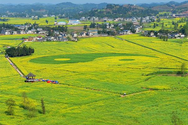 2024重庆潼南油菜花节门票+时间+地点+攻略