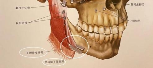 米扬丽格马平山医生采用PLLA艾维岚在口周年轻化方面的成果(图10)