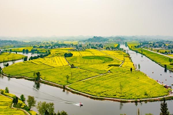 重庆油菜花观赏胜地有哪些