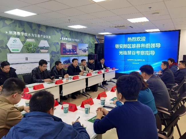 凝心铸魂担使命――欢迎雄安新区雄县领导团到慧谷农业考察指导(图1)