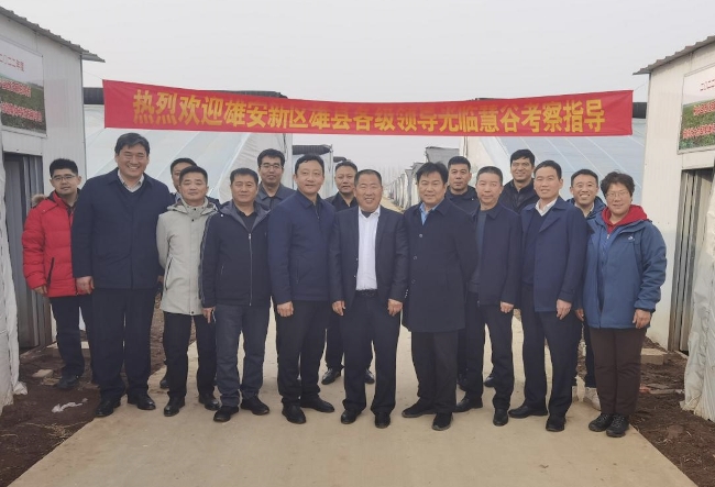 凝心铸魂担使命――欢迎雄安新区雄县领导团到慧谷农业考察指导(图4)