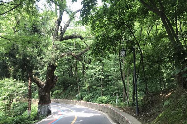 鸡公山一日游最佳线路推荐 这份详细的攻略值得借鉴