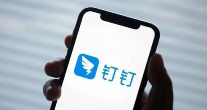 微信上能用钉钉开会了 开会更加高效、便捷(图1)