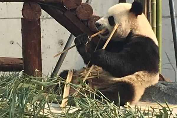 爱保野生动物园门票优惠政策