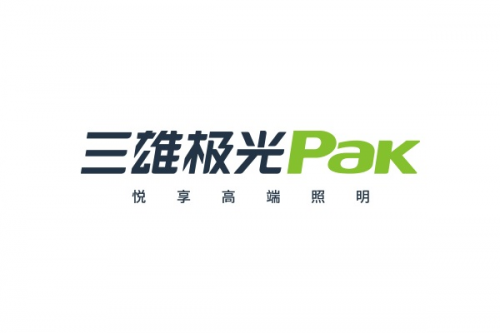 双碳先行军！三雄极光交出“两会”新答卷(图8)