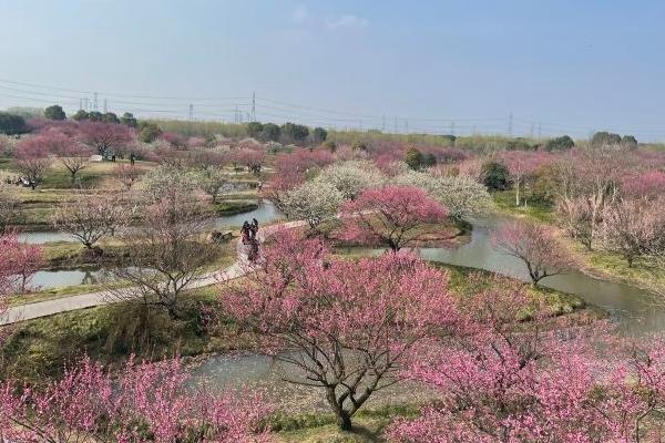 花开海上生态园门票价格2024