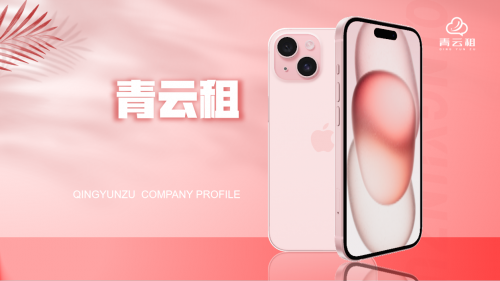 
			青云租：入选中国共享经济十大标杆企业，中国品牌影响力十大创新榜样人物
		(图2)