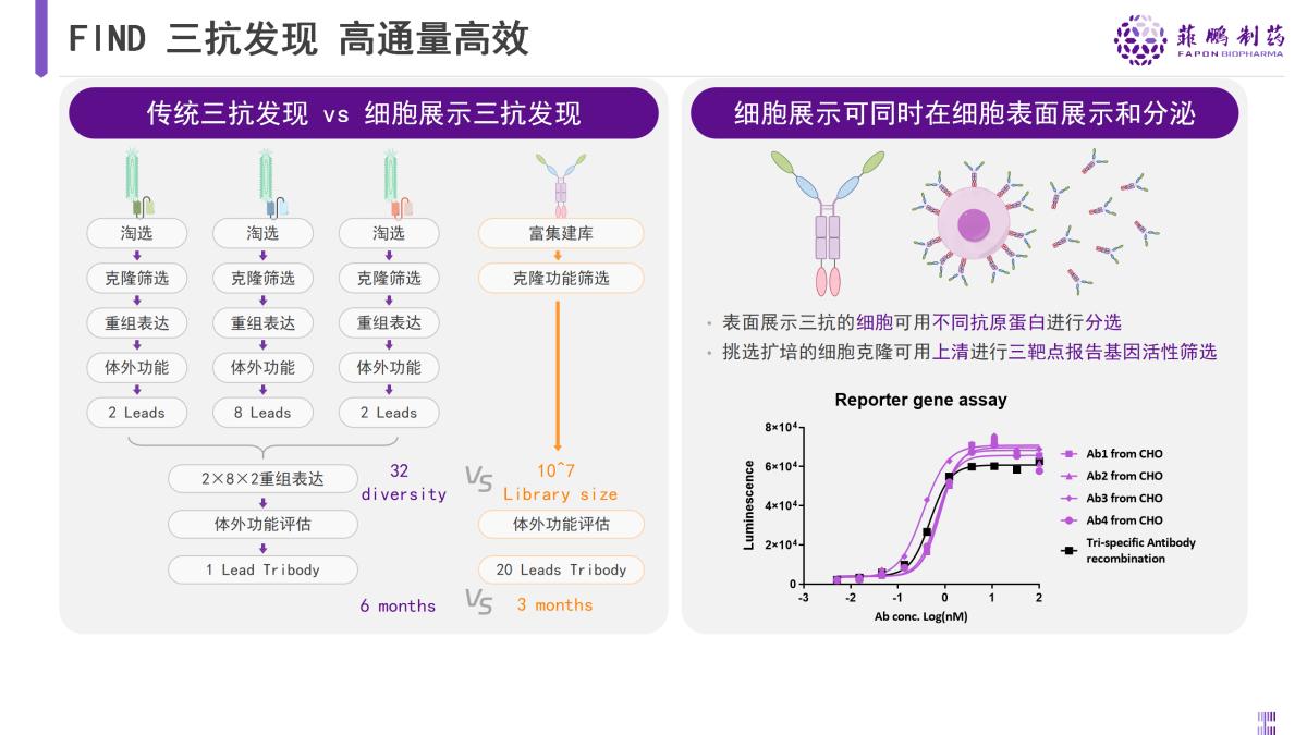 菲鹏制药亮相BIOCHINA2024,分享创新哺乳动物细胞展示技术平台
(图3)
菲鹏制药亮相BIOCHINA2024,分享创新哺乳动物细胞展示技术平台
(图3)