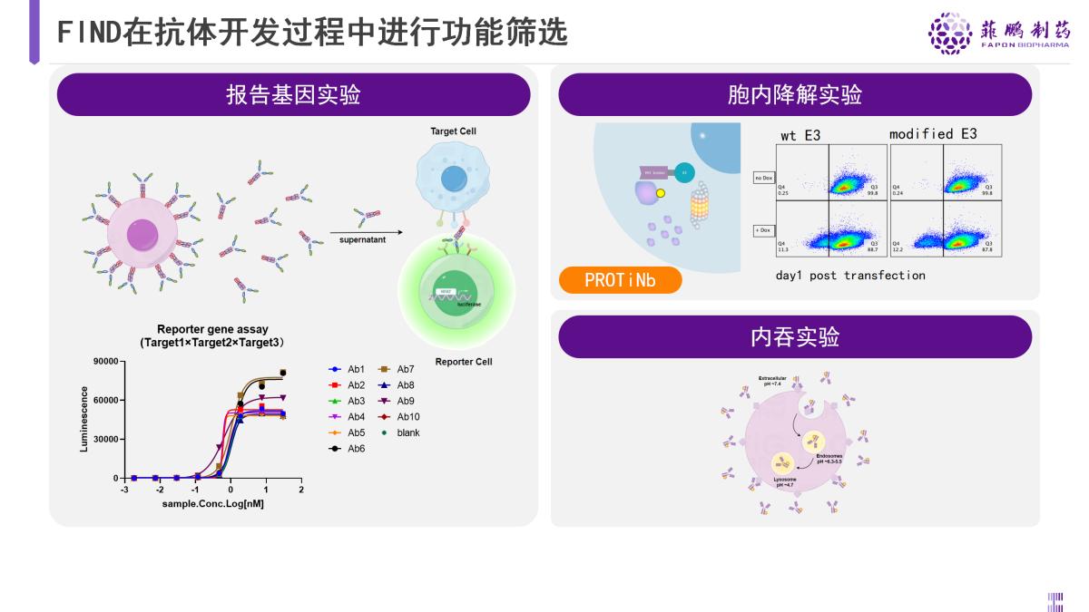 菲鹏制药亮相BIOCHINA2024,分享创新哺乳动物细胞展示技术平台
(图4)
菲鹏制药亮相BIOCHINA2024,分享创新哺乳动物细胞展示技术平台
(图4)