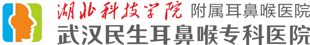 武汉民生耳鼻喉专科医院获评市级平安医院创建示范单位！