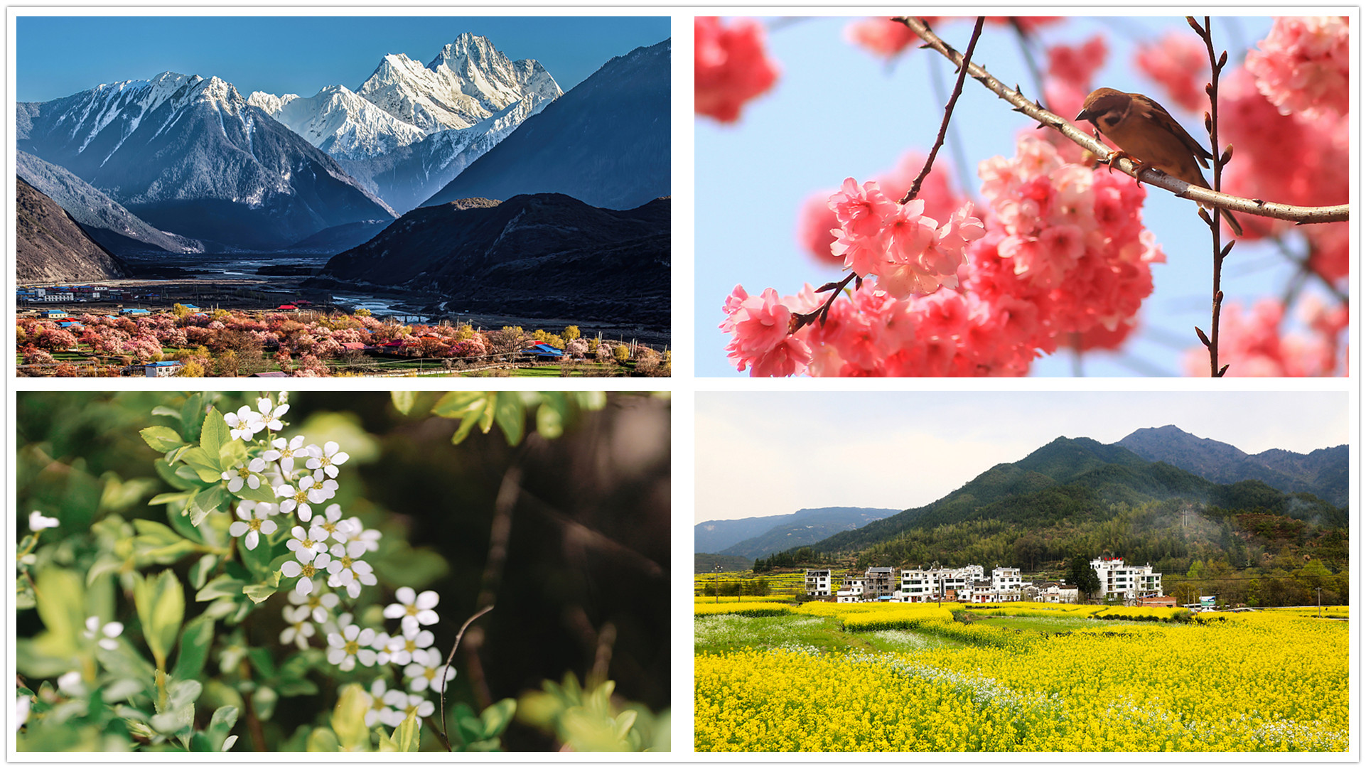 《春暖花开的中国》开播 绘就美丽中国春景图(图1)