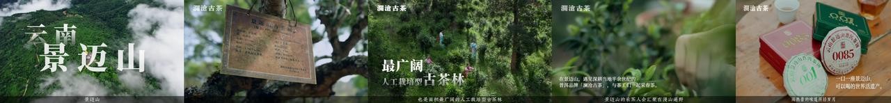 
			场景营销为品牌生意加码！抖音商城「这！就是宝藏茶饮」引爆“春茶热”
		(图9)