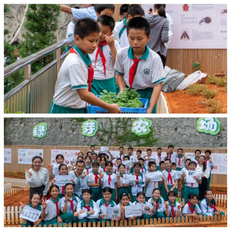 韶关武江田家炳沙湖绿洲小学.jpg