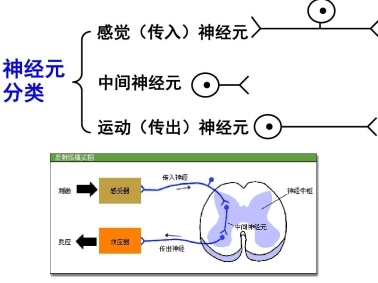 警惕“无效补钙”：液体钙成补钙黄金搭档(图2)