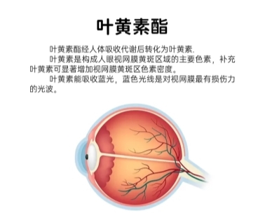 护眼指南：缓解眼疲劳叶黄素怎么挑选(图3)