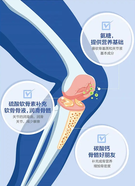 守护关节健康 揭秘氨糖软骨素钙片的功效(图2)