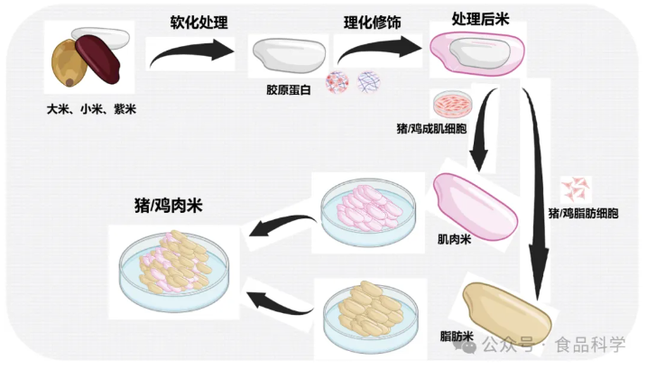 鸡肉/猪肉系列米制品研发成功(图1)