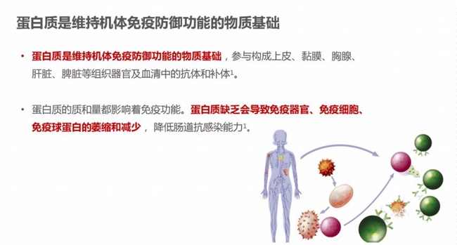 选购蛋白粉不再迷茫：蛋白粉哪个牌子好，一文告诉你补充蛋白质提高免疫力吃什么(图1)