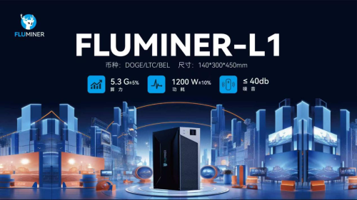 福鹿(FLUMINER-L1) 5纳米狗狗币（Doge）区块链服务器全球开发者见面会(图4)