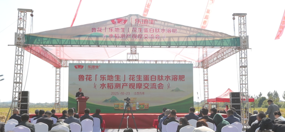 鲁花“乐地生”花生蛋白肽水溶肥水稻测产观摩会在江西万年举行(图1) 鲁花“乐地生”花生蛋白肽水溶肥水稻测产观摩会在江西万年举行(图1)